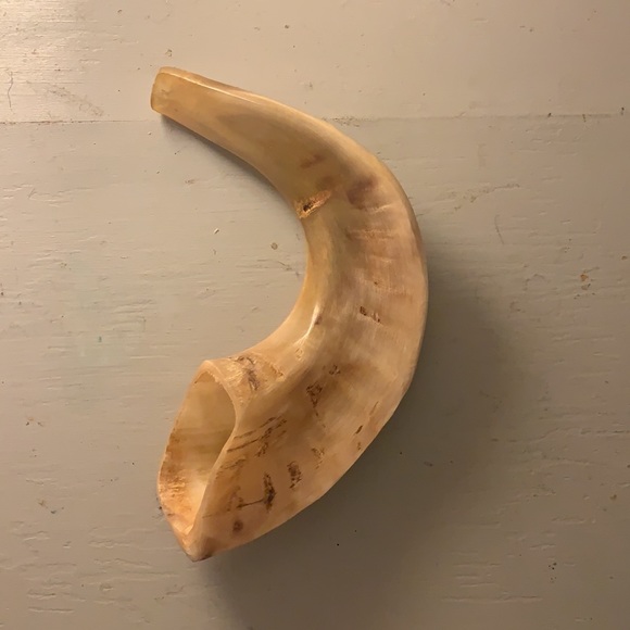 Ram horn - Picture 3 of 9